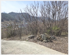  2025Ÿ��85  �����