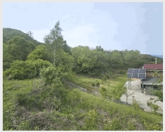  2025Ÿ105  õ   814-4      (Ӿ)