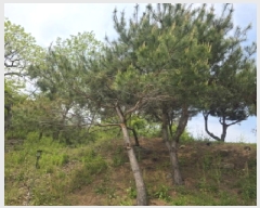  2025Ÿ105  õ   814-4      (Ӿ)