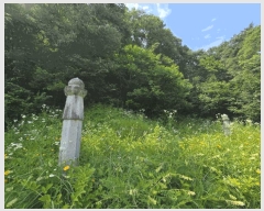  2025Ÿ113  õ ûǳ ȭ 20-1      (Ӿ)