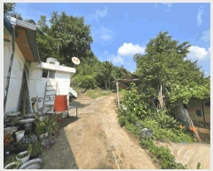  2025Ÿ113  õ ûǳ ȭ 20-1      (Ӿ)