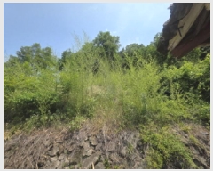  2025Ÿ113  õ ûǳ ȭ 20-1      (Ӿ)