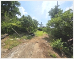  2025Ÿ113  õ ûǳ ȭ 20-1      (Ӿ)