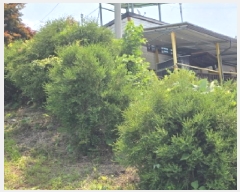  2025Ÿ113  õ ûǳ ȭ 20-1      (Ӿ)