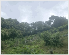  2025Ÿ115  õ и ð 96-4      (Ӿ)