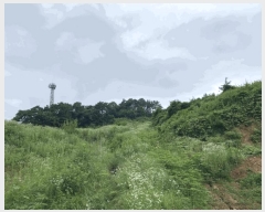  2025Ÿ115  õ и ð 96-4      (Ӿ)