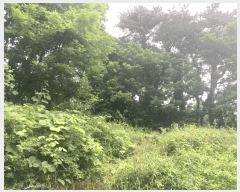  2025Ÿ115  õ и ð 96-4      (Ӿ)