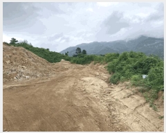  2025Ÿ115  õ и ð 96-4      (Ӿ)