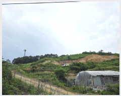  2025Ÿ115  õ и ð 96-4      (Ӿ)