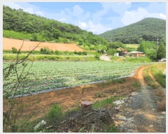  2025Ÿ119  ܾ籺  Ͻø 4-1      (1)