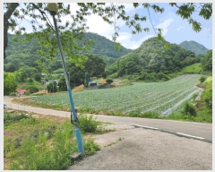  2025Ÿ119  ܾ籺  Ͻø 4-1      (1)