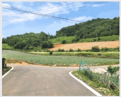  2025Ÿ119  ܾ籺  Ͻø 4-1      (1)