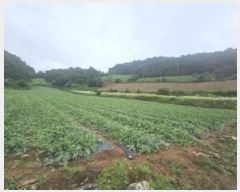  2025Ÿ119  ܾ籺  Ͻø 4-1      (1)