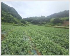  2025Ÿ119  ܾ籺  Ͻø 4-1      (1)