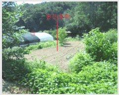  2025Ÿ��129 ��� ��õ�� ������ ���� 304      ����(��)���