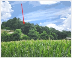  2025Ÿ��135  �Ӿ߰��