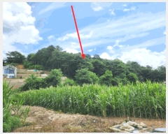  2025Ÿ��135  �Ӿ߰��