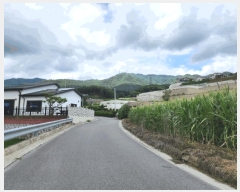  2025Ÿ��135  �Ӿ߰��