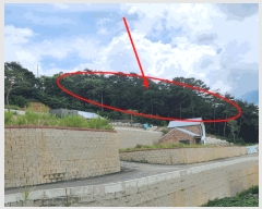  2025Ÿ��135  �Ӿ߰��