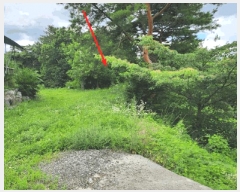  2025Ÿ��135  �Ӿ߰��