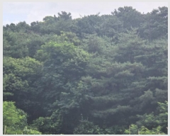  2025Ÿ��135  �Ӿ߰��