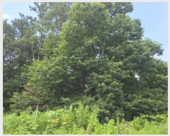  2025Ÿ��135  �Ӿ߰��