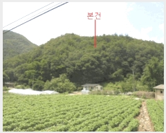  2025Ÿ��141  �Ӿ߰��