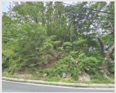  2025Ÿ��141  �Ӿ߰��