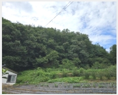  2025Ÿ��141  �Ӿ߰��