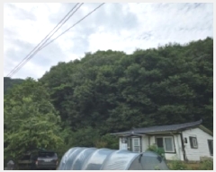  2025Ÿ��141  �Ӿ߰��