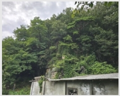  2025Ÿ��141  �Ӿ߰��