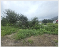  2025Ÿ��145 ��� ��õ�� ���� ���и� 172-65      ����(�Ӿ�)���