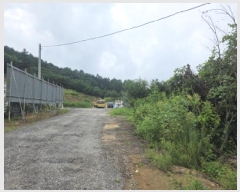  2025Ÿ��145 ��� ��õ�� ���� ���и� 172-65      ����(�Ӿ�)���