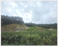  2025Ÿ��145 ��� ��õ�� ���� ���и� 172-65      ����(�Ӿ�)���