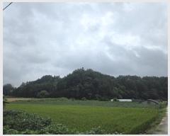  2025Ÿ��145 ��� ��õ�� ���� ���и� 172-65      ����(�Ӿ�)���