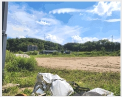  2025Ÿ��155  ����