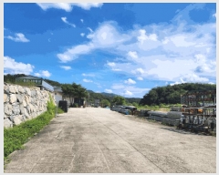  2025Ÿ��155  ����