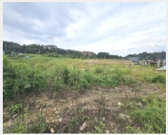  2025Ÿ��155  ����