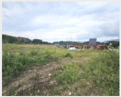  2025Ÿ��155  ����