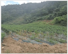  2025Ÿ��157 ��� �ܾ籺 ���õ�� ��ϸ� 67      ����(��1)���