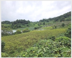  2025Ÿ��157 ��� �ܾ籺 ���õ�� ��ϸ� 67      ����(��1)���