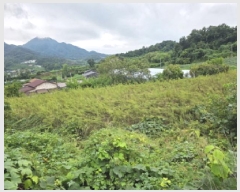  2025Ÿ��157 ��� �ܾ籺 ���õ�� ��ϸ� 67      ����(��1)���