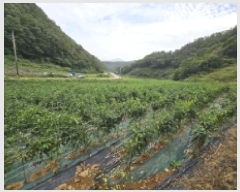  2025Ÿ��157 ��� �ܾ籺 ���õ�� ��ϸ� 67      ����(��1)���