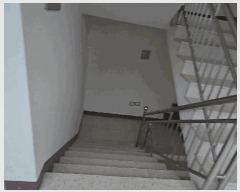  2025Ÿ��163  ����Ʈ���