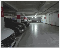  2025Ÿ��163  ����Ʈ���