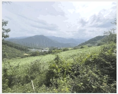  2025Ÿ��167 ��� �ܾ籺 ����� ���縮 245      ����(��1)���