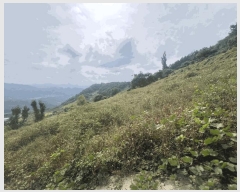  2025Ÿ��167 ��� �ܾ籺 ����� ���縮 245      ����(��1)���