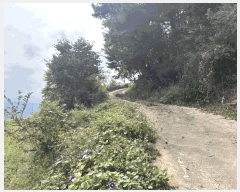  2025Ÿ��167 ��� �ܾ籺 ����� ���縮 245      ����(��1)���