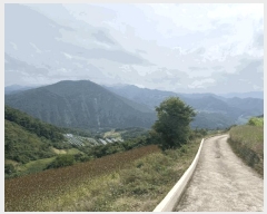  2025Ÿ��167 ��� �ܾ籺 ����� ���縮 245      ����(��1)���