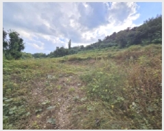  2025Ÿ��167 ��� �ܾ籺 ����� ���縮 245      ����(��1)���